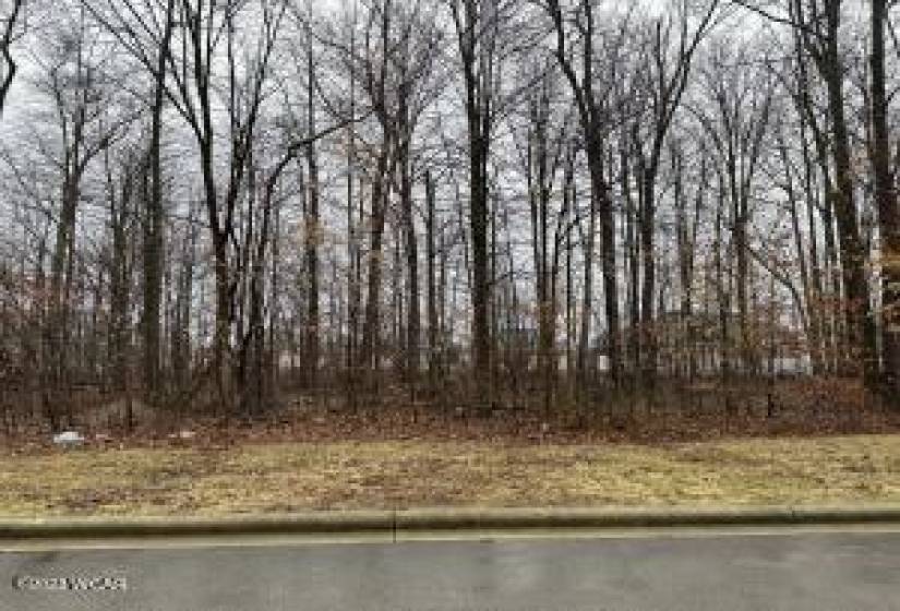 Lot 269 Forest Ln